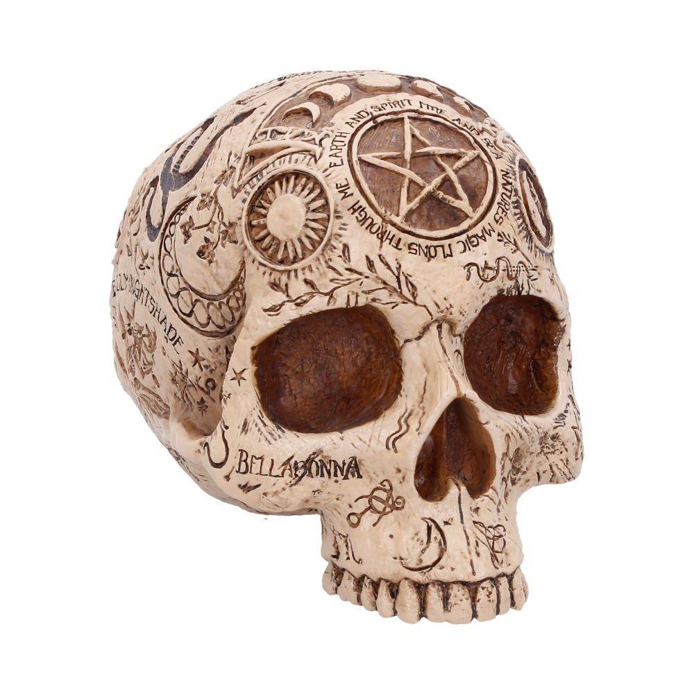 Nemesis Now - Apothecary Dekorative Figur - Mehrfarben